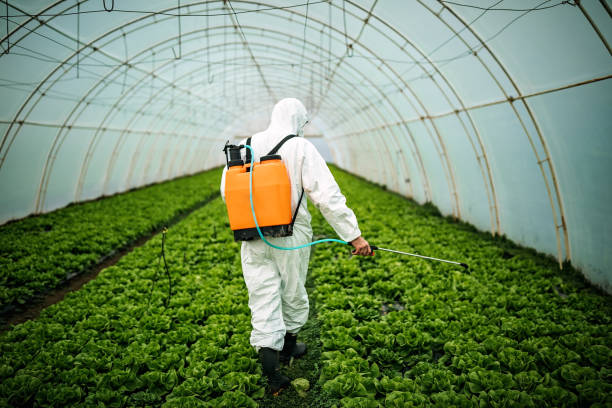 Best Affordable Pest Control Services  in Lakehills, TX