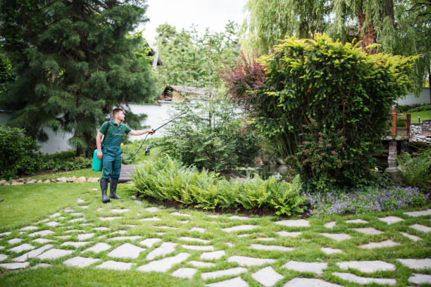 Professional Pest Control in Lakehills, TX