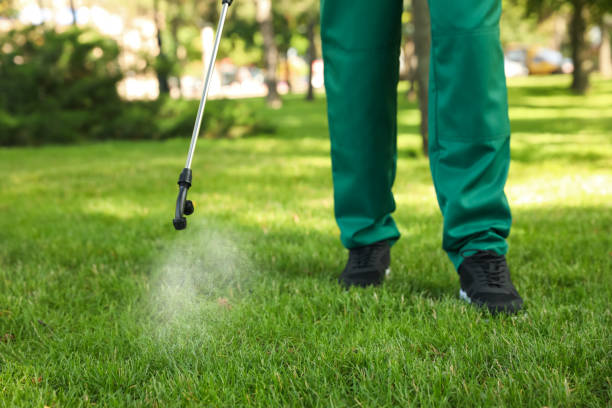 Wasp Removal Services in Lakehills, TX