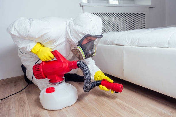 Best Bed Bug Extermination  in Lakehills, TX