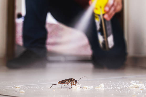 Best Pest Control Near Me in Lakehills, TX